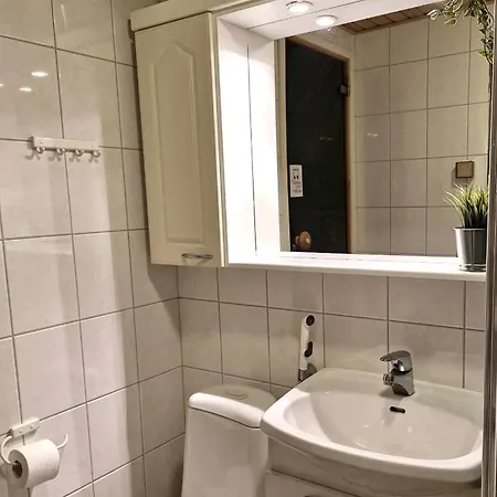 Arctic Studio, Sauna & Location Apartman *